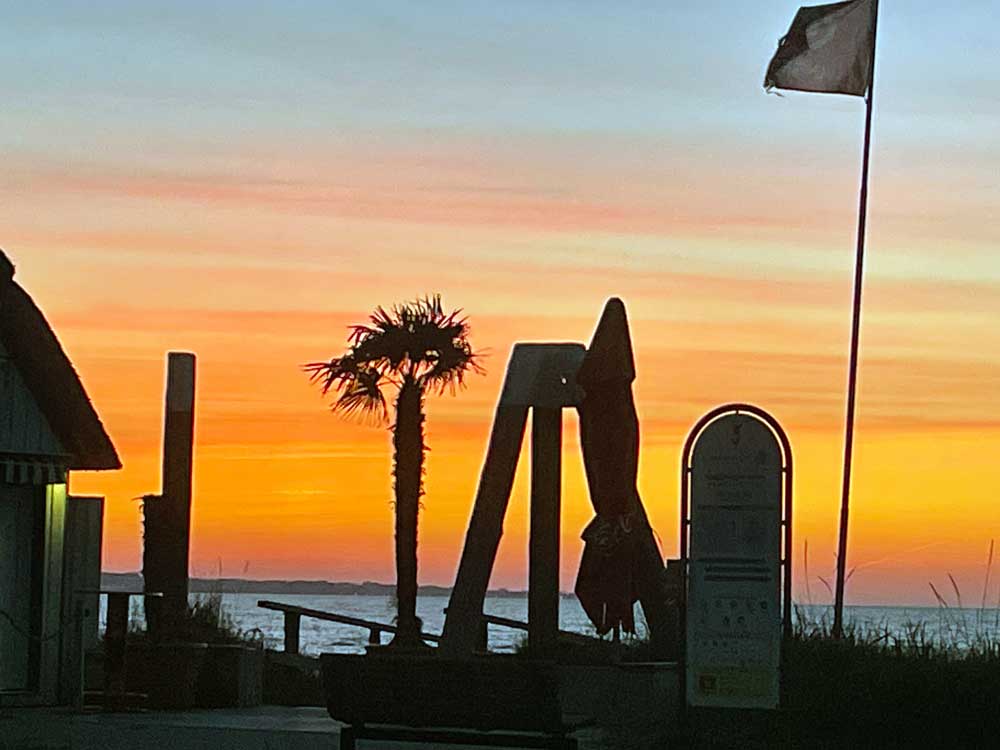 Maximilian Hering, Strandkorb- und Tretboot Vermietung Haffkrug Hundestrand